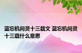 蓝忘机问灵十三载文 蓝忘机问灵十三载什么意思