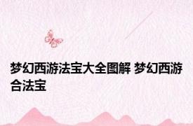 梦幻西游法宝大全图解 梦幻西游合法宝 