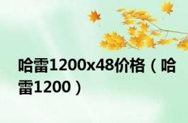 哈雷1200x48价格（哈雷1200）