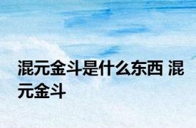 混元金斗是什么东西 混元金斗 