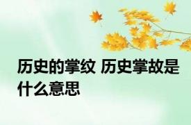 历史的掌纹 历史掌故是什么意思