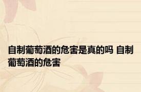 自制葡萄酒的危害是真的吗 自制葡萄酒的危害 