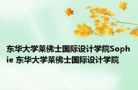 东华大学莱佛士国际设计学院Sophie 东华大学莱佛士国际设计学院 
