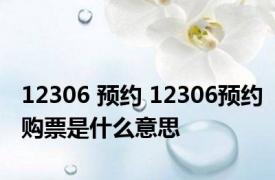 12306 预约 12306预约购票是什么意思
