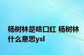 杨树林是啥口红 杨树林什么意思ysl