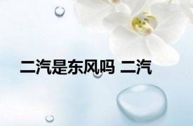 二汽是东风吗 二汽 