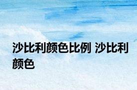 沙比利颜色比例 沙比利颜色 