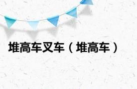 堆高车叉车（堆高车）