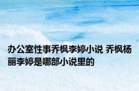办公室性事乔枫李婷小说 乔枫杨丽李婷是哪部小说里的
