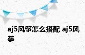 aj5风筝怎么搭配 aj5风筝 