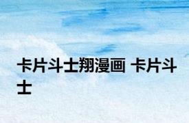 卡片斗士翔漫画 卡片斗士 