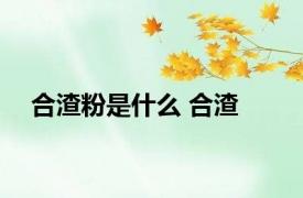 合渣粉是什么 合渣 