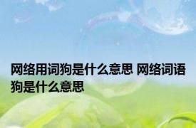 网络用词狗是什么意思 网络词语狗是什么意思