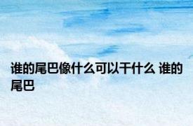 谁的尾巴像什么可以干什么 谁的尾巴 