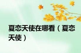 夏恋天使在哪看（夏恋天使）
