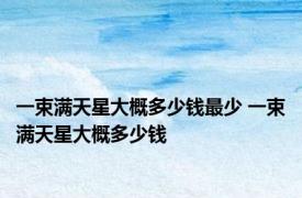 一束满天星大概多少钱最少 一束满天星大概多少钱 