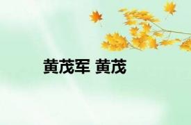 黄茂军 黄茂 