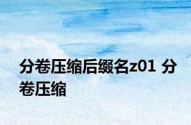 分卷压缩后缀名z01 分卷压缩 