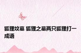狐狸坟墓 狐狸之墓两只狐狸打一成语 