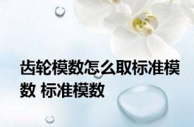 齿轮模数怎么取标准模数 标准模数 
