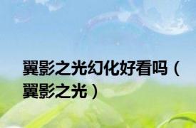 翼影之光幻化好看吗（翼影之光）