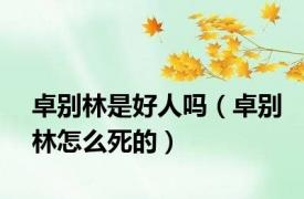 卓别林是好人吗（卓别林怎么死的）