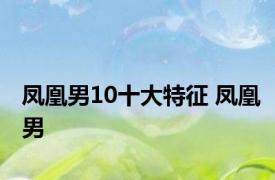 凤凰男10十大特征 凤凰男 