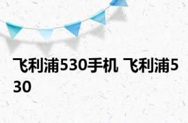 飞利浦530手机 飞利浦530 