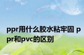 ppr用什么胶水粘牢固 ppr和pvc的区别 
