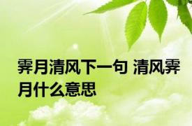 霁月清风下一句 清风霁月什么意思 