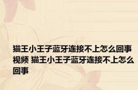猫王小王子蓝牙连接不上怎么回事视频 猫王小王子蓝牙连接不上怎么回事