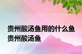 贵州酸汤鱼用的什么鱼 贵州酸汤鱼 