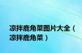 凉拌鹿角菜图片大全（凉拌鹿角菜）