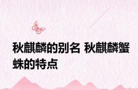 秋麒麟的别名 秋麒麟蟹蛛的特点