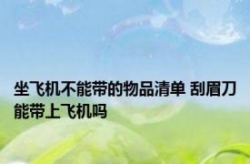 坐飞机不能带的物品清单 刮眉刀能带上飞机吗