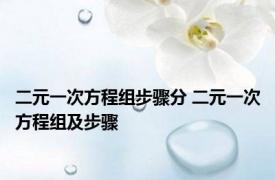 二元一次方程组步骤分 二元一次方程组及步骤 