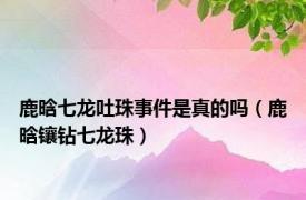 鹿晗七龙吐珠事件是真的吗（鹿晗镶钻七龙珠）