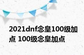 2021dnf念皇100级加点 100级念皇加点