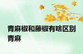 青麻椒和藤椒有啥区别 青麻 