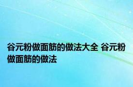 谷元粉做面筋的做法大全 谷元粉做面筋的做法