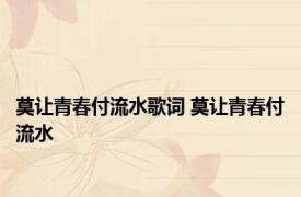 莫让青春付流水歌词 莫让青春付流水 