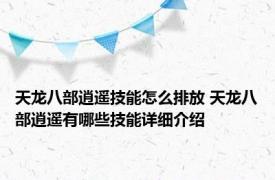 天龙八部逍遥技能怎么排放 天龙八部逍遥有哪些技能详细介绍