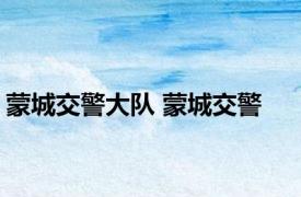 蒙城交警大队 蒙城交警 