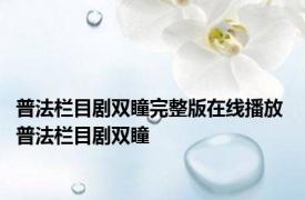 普法栏目剧双瞳完整版在线播放 普法栏目剧双瞳 