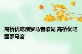 高桥优吃醋罗马音歌词 高桥优吃醋罗马音 