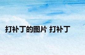 打补丁的图片 打补丁 