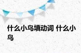 什么小鸟填动词 什么小鸟 