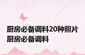 厨房必备调料20种照片 厨房必备调料
