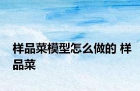 样品菜模型怎么做的 样品菜 