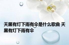 天黑有灯下雨有伞是什么歌曲 天黑有灯下雨有伞 